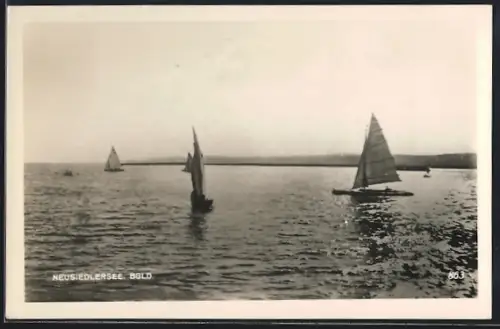 AK Neusiedlersee /Bgld., Uferpartie mit Segelbooten