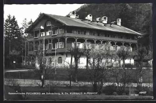 AK Puchberg, Blick zum Kurhaus Alpenhof