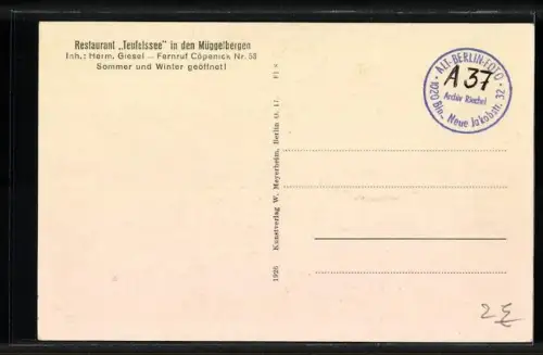 AK Berlin-Köpenick, Aussichtsturm Müggelberge, Teufelssee
