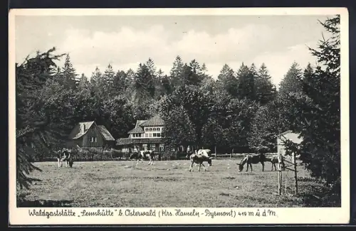 AK Osterwald / Hameln, Gasthaus Waldgaststätte Sennhütte, Inh. Aug. Voges