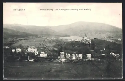 AK Königstein / Taunus, Oelmühlsweg, Feldberg und Altkönig im Hintergrund