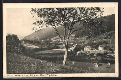 AK Wildbad / Schwarzwald, Blick auf Haus Waldheim