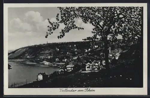 AK Vallendar am Rhein, Blick auf Stadt und Rhein