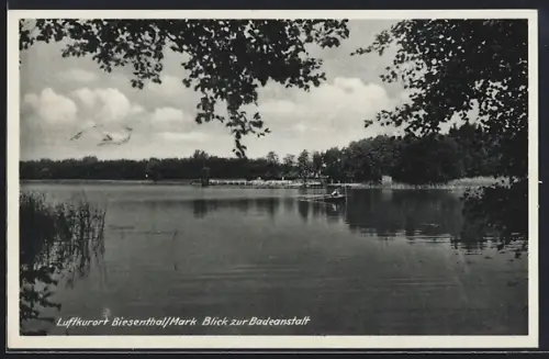 AK Biesenthal /Mark, Blick zur Badeanstalt