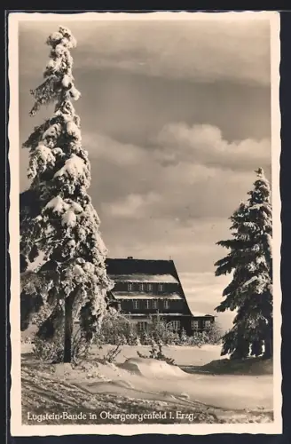 AK Obergeorgenfeld i. Erzg., Lugstein-Baude im Schnee