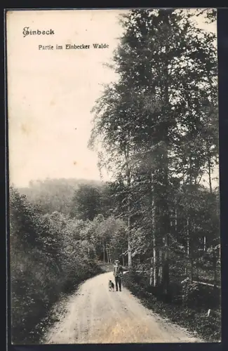 AK Einbeck, Weg im Einbecker Wald, Herr mit Hund