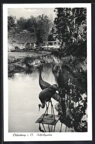 AK Oldenburg i. O., Schlossgarten