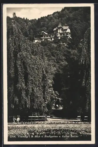 AK Freiburg i. B., Blick vom Stadtgarten am Cafe Dattler