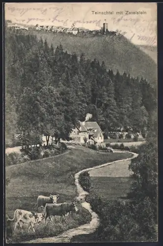 AK Teinach /Teinachtal, Ortspartie mit Zavelstein