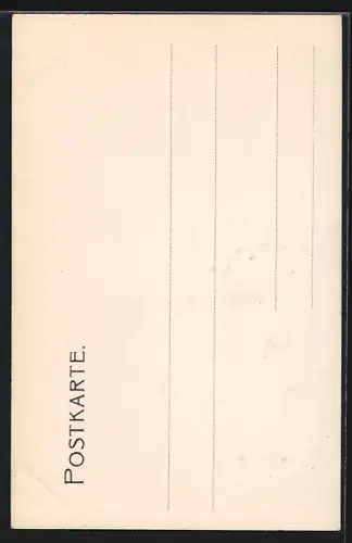 AK Lindau i. B., Strassenpartie mit Rathaus