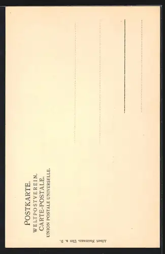 AK Ulm a. D., Münster mit Strassenpartie