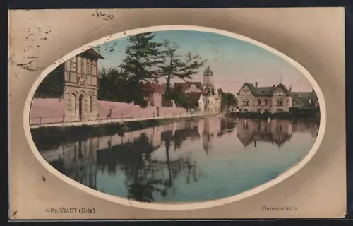 AK Neustadt / Orla, Am Gamsenteich