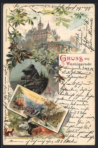Lithographie Wernigerode, Schloss, Hirsch, Waldpartie