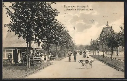 AK Hannover, Cafe Milchhäuschen am Maschpark, Hund