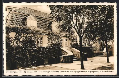 AK Ebernburg b. Bad Münster, Gasthaus Schwarze Katze