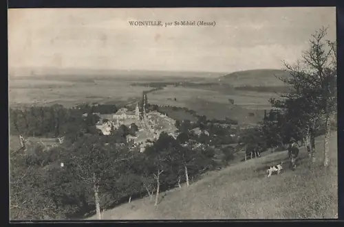 AK Woinville par St-Mihiel, Vue panoramique du village et des paysages environnants