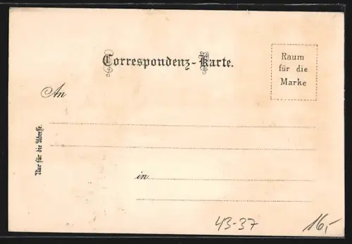 Lithographie Wien, Buntes Treiben im Volksprater