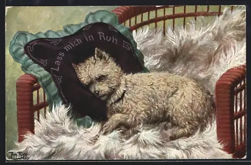 Künstler-AK A. Thiele: Hund schläft auf Schafsfell