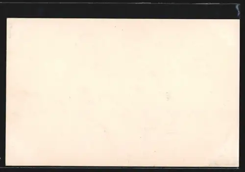 AK Felix Laitsch im Flugzeug