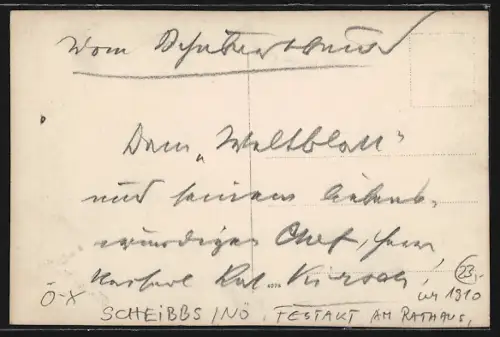 Foto-AK Scheibbs /NÖ, Festakt am Rathaus um 1910