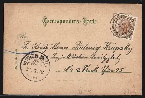 Lithographie Hofkirchen a. d. Trattnach, Hofmarktplatz, Ortsansicht mit Kirche