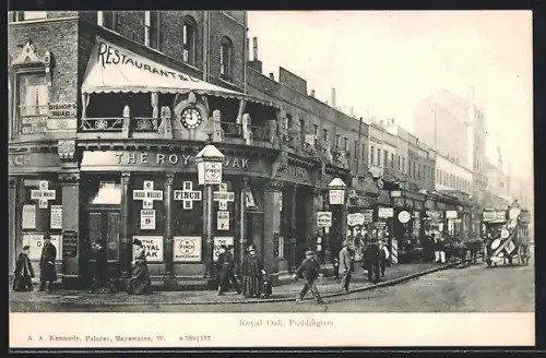 AK Paddington, Royal Oak