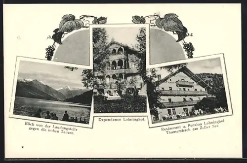 AK Thumersbach, Restaurant Pension Lohninghof mit Dependance, Blick von der Landungsstelle gegen die hohen Tauern
