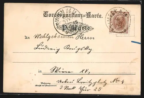 Lithographie Vöcklabruck, Stadtplatz, Alt-Wartenburg, Wallfahrtskirche Schöndorf