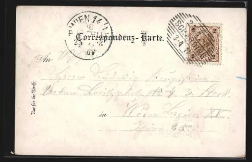 Lithographie Schärding, Oberer Stadtplatz, Kaltwasserheilanstalt Ebenhecht