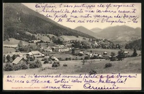 AK Tarvis, Totale des Oberdorfes