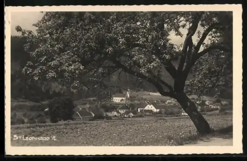AK St. Leonhard i. L., Ortsansicht vom Feldweg aus