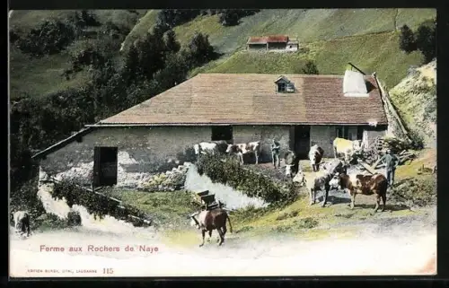 AK Rochers de Naye, Ferme