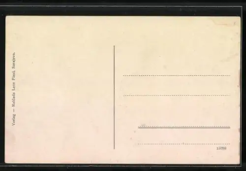 AK Sarajevo, Gesamtansicht der Stadt