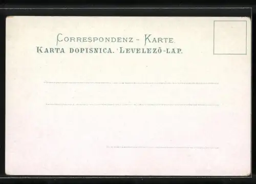 AK Mostar, Ortsansicht mit Flusslauf und Moschee