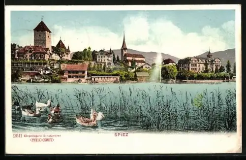 AK Spiez, Ortsansicht mit Springbrunnen und Enten