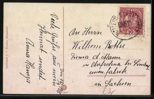 AK Strakonice, Celkovy pohled