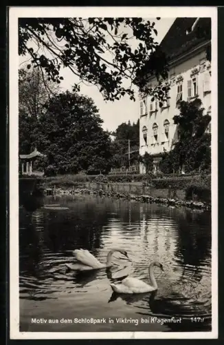 AK Viktring, Schwäne auf dem Schlossparkteich