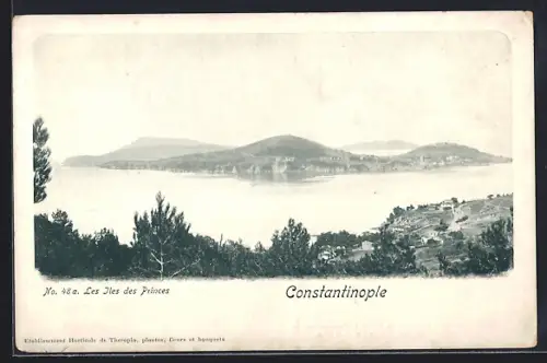 AK Constantinople, Les Iles des Princes