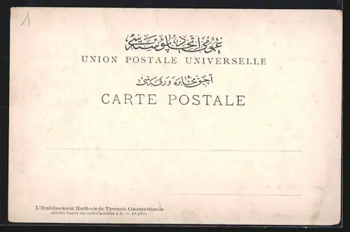 AK Constantinople, Les Iles des Princes