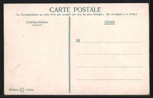 AK Constantinople, Vue Panoramique de la Mosquée Suleymanié