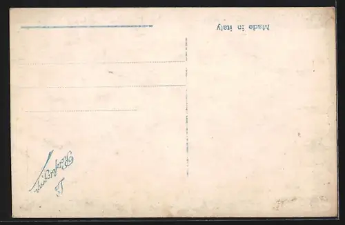 AK Constantinople, Haut Bosphore, Vue Prise des Chteaux d`Europe