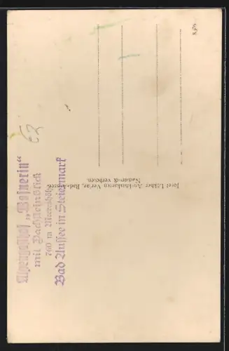 AK Bad-Aussee, Gasthof Wasnerin mit Trisselwand