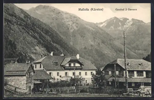 AK Mallnitz, Ansicht vom Gasthof 3 Gemsen