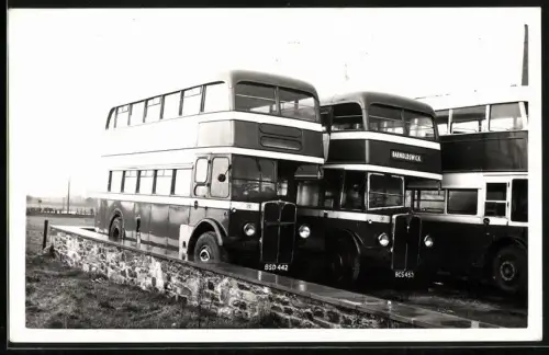 Fotografie englische Doppeldecker Busse