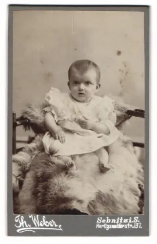 Fotografie Th. Weber, Sebnitz i. S., Herligswalderstrasse 131, Porträt eines kleinen Kindes