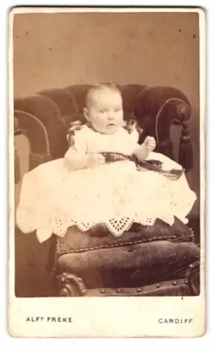 Fotografie Alf. Freke, Cardiff, Bute St 253, Porträt eines Kleinkindes auf Sessel