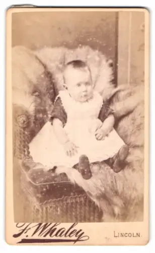 Fotografie F. Whaley, Lincoln, High St 282, Kleinkind auf Sessel