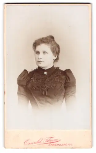 Fotografie Oswald Thiem, Spremberg, Frau in elegantem Kleid