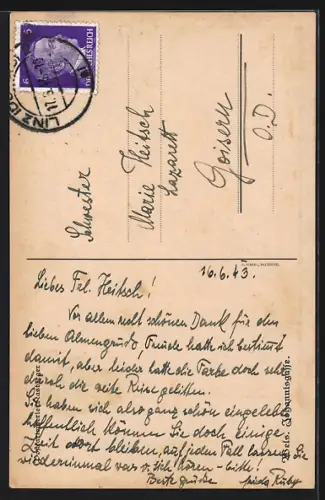 Künstler-AK Wels, Johannisgasse