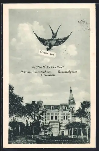 AK Wien-Hütteldorf, Rekonvaleszentenheim Höhenluft, Rosentalgasse, Briefschwalbe